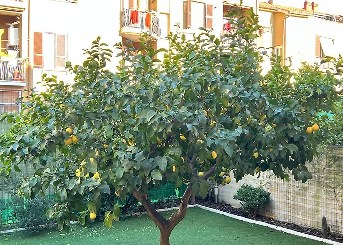 Casa Paestum. Your Wonderful Garden In Roma